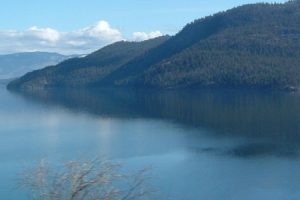 Ogopogo of Okanagan Lake