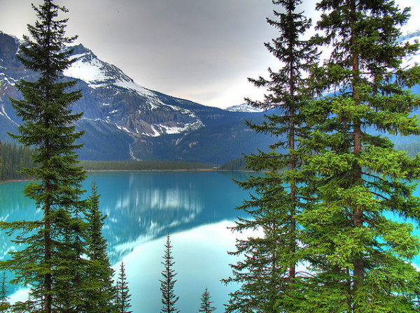 BC's Emerald Lake By panduh on Flickr