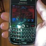 Canadian blackberry