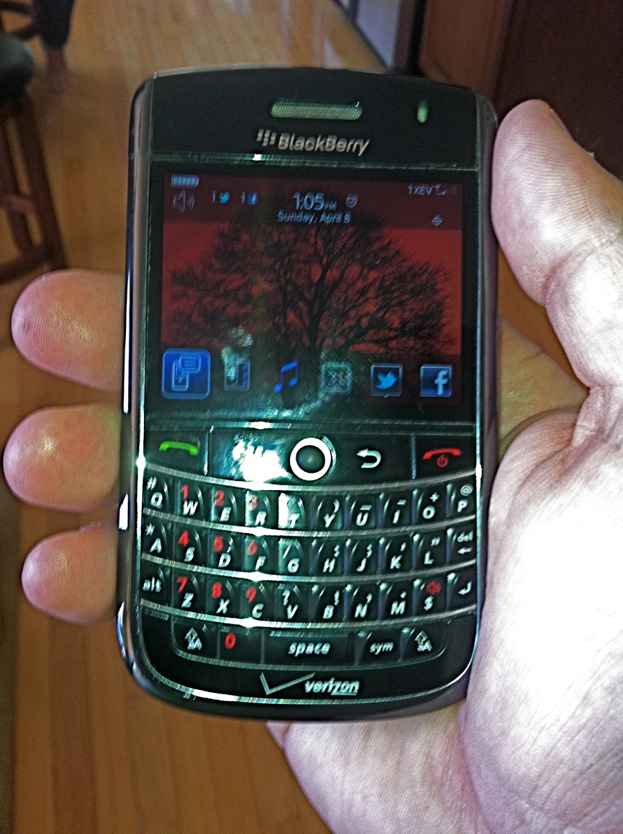 Canadian blackberry