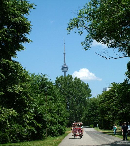 toronto-centre-island-bike-cntower