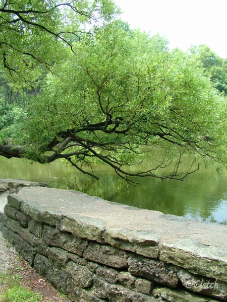 High Park in Toronto