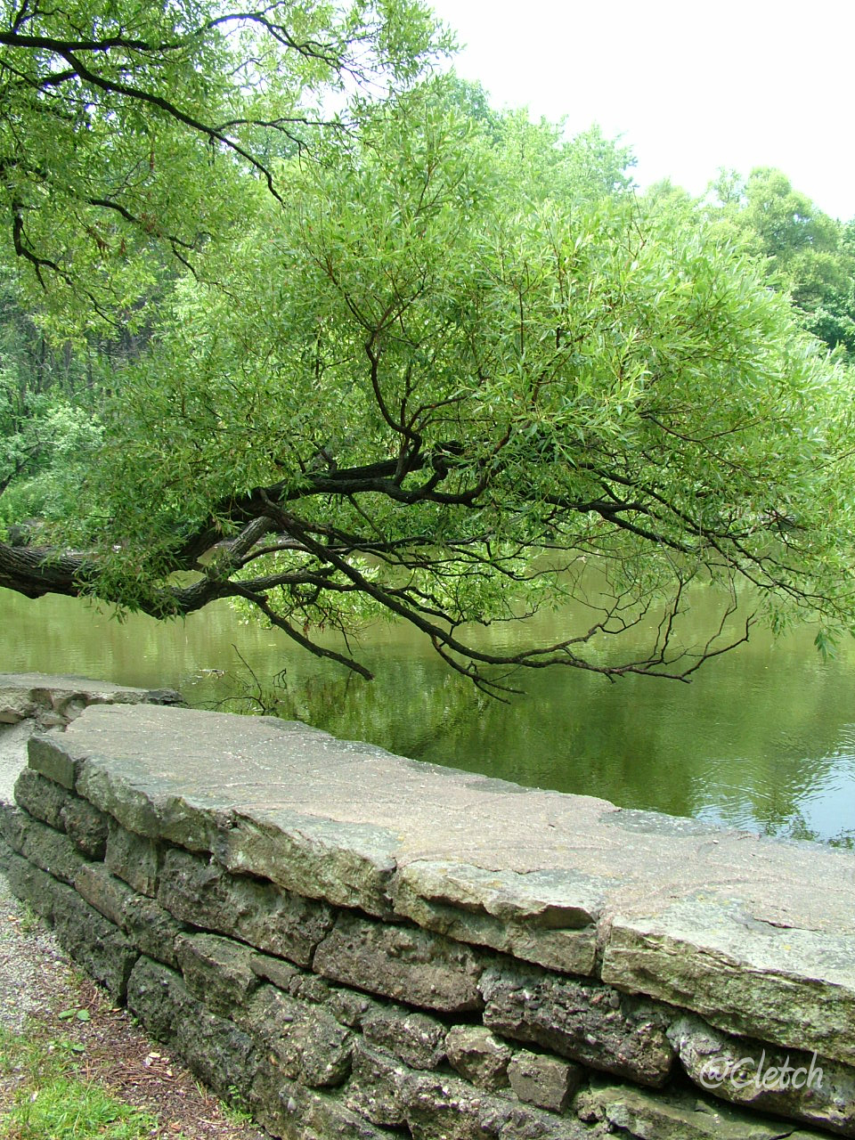 High Park in Toronto