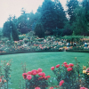 1987-butchart-gardens-14