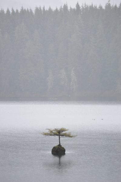 Fairy Lake BC